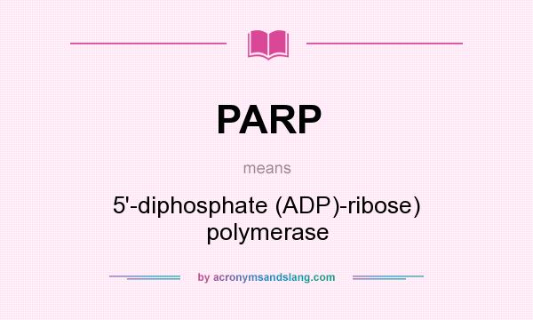 What does PARP mean? It stands for 5`-diphosphate (ADP)-ribose) polymerase