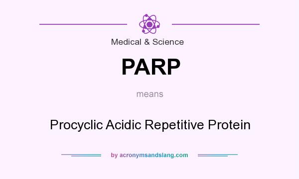 What does PARP mean? It stands for Procyclic Acidic Repetitive Protein