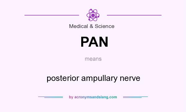 What does PAN mean? It stands for posterior ampullary nerve