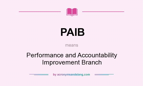 What does PAIB mean? It stands for Performance and Accountability Improvement Branch