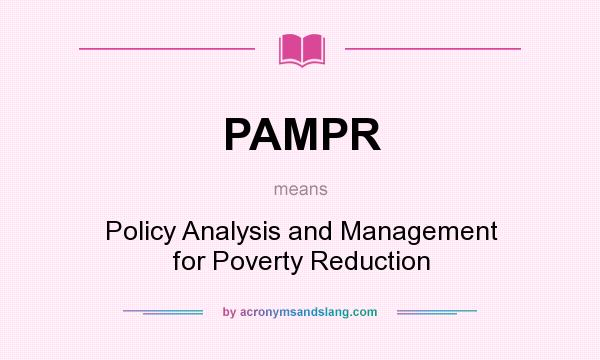 What does PAMPR mean? It stands for Policy Analysis and Management for Poverty Reduction