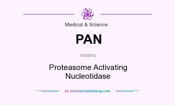 What does PAN mean? It stands for Proteasome Activating Nucleotidase