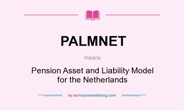 What does PALMNET mean? It stands for Pension Asset and Liability Model for the Netherlands