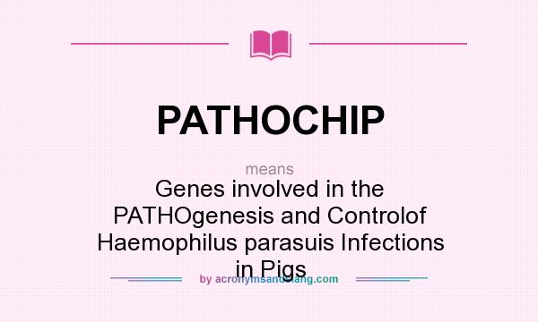 What does PATHOCHIP mean? It stands for Genes involved in the PATHOgenesis and Controlof Haemophilus parasuis Infections in Pigs