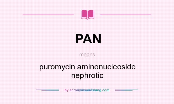 What does PAN mean? It stands for puromycin aminonucleoside nephrotic