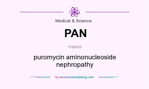 What does PAN mean? It stands for puromycin aminonucleoside nephropathy