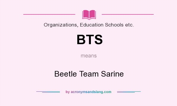 What does BTS mean? It stands for Beetle Team Sarine