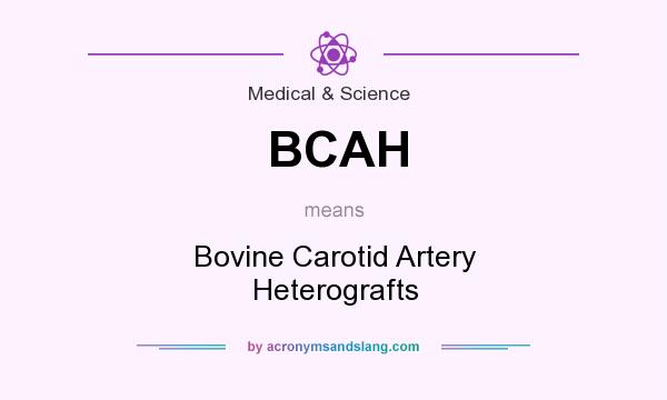 What does BCAH mean? It stands for Bovine Carotid Artery Heterografts