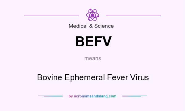 What does BEFV mean? It stands for Bovine Ephemeral Fever Virus