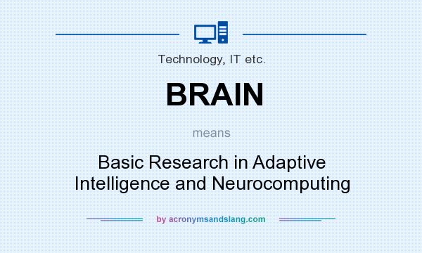What does BRAIN mean? It stands for Basic Research in Adaptive Intelligence and Neurocomputing