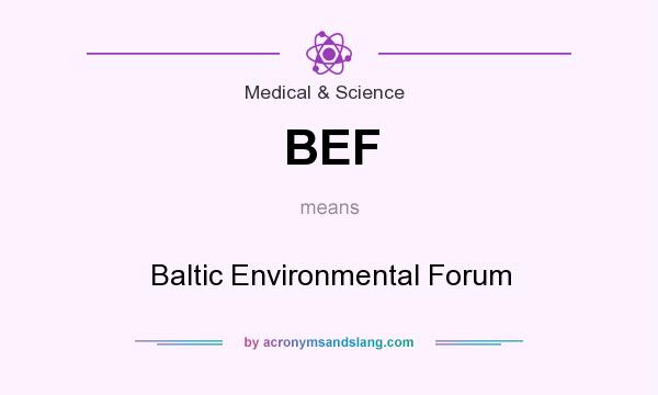 What does BEF mean? It stands for Baltic Environmental Forum