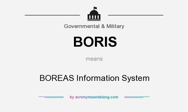 What does BORIS mean? It stands for BOREAS Information System