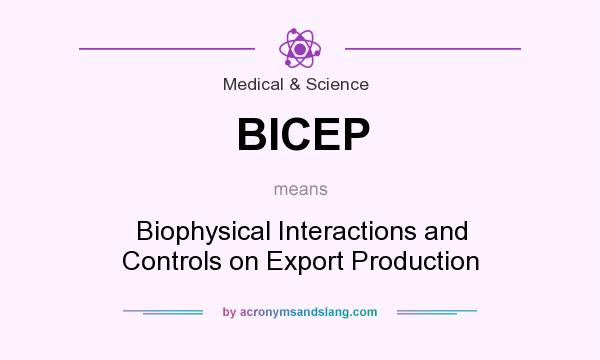 What does BICEP mean? It stands for Biophysical Interactions and Controls on Export Production