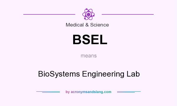 What does BSEL mean? It stands for BioSystems Engineering Lab