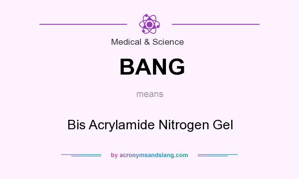What does BANG mean? It stands for Bis Acrylamide Nitrogen Gel