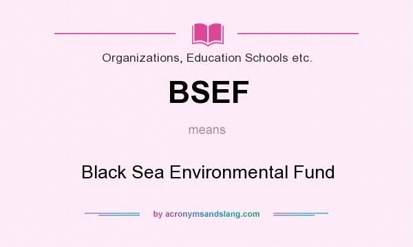 What does BSEF mean? It stands for Black Sea Environmental Fund