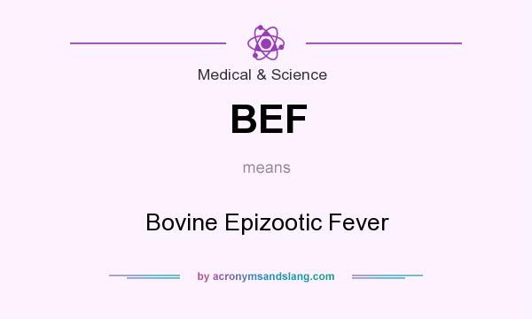 What does BEF mean? It stands for Bovine Epizootic Fever