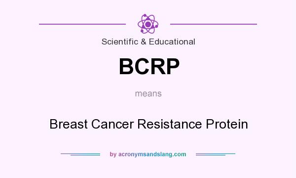 What does BCRP mean? It stands for Breast Cancer Resistance Protein