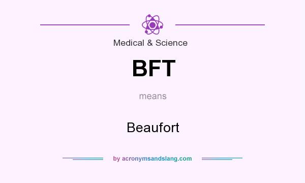 What does BFT mean? It stands for Beaufort