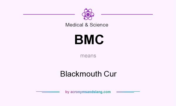 What does BMC mean? It stands for Blackmouth Cur