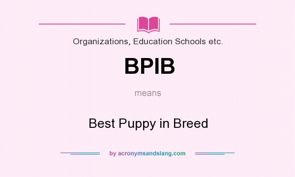 What does BPIB mean? It stands for Best Puppy in Breed