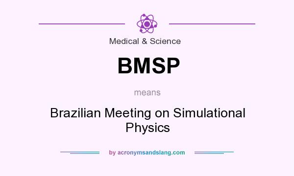 What does BMSP mean? It stands for Brazilian Meeting on Simulational Physics
