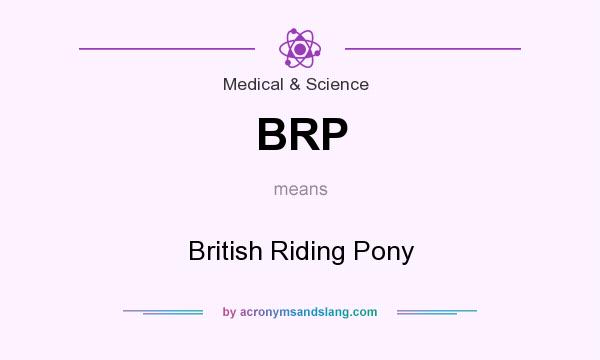 What does BRP mean? It stands for British Riding Pony