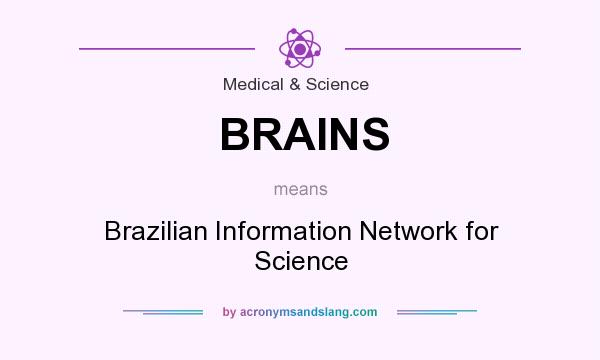 What does BRAINS mean? It stands for Brazilian Information Network for Science