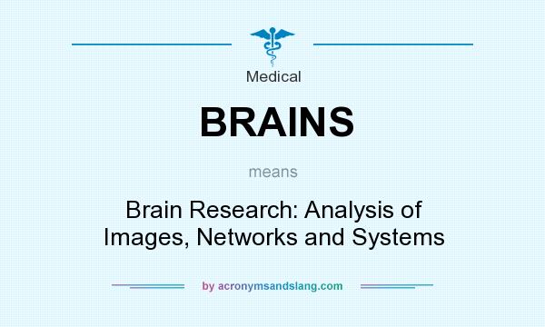 What does BRAINS mean? It stands for Brain Research: Analysis of Images, Networks and Systems