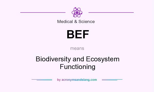 What does BEF mean? It stands for Biodiversity and Ecosystem Functioning