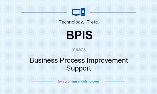 What does BPIS mean? It stands for Business Process Improvement Support
