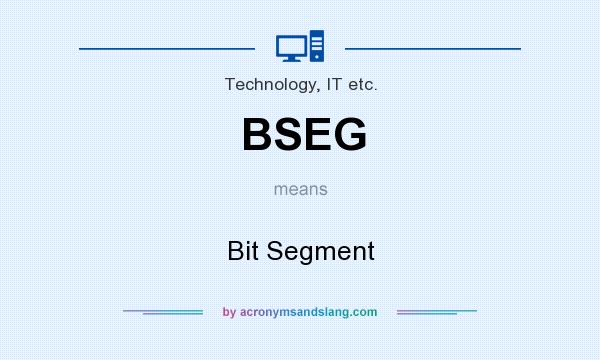 What does BSEG mean? It stands for Bit Segment