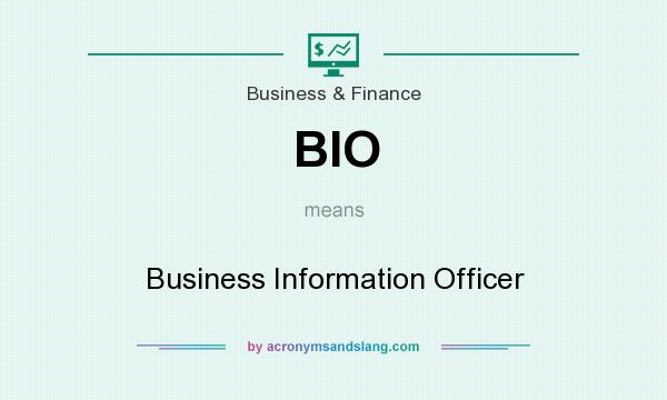 What does BIO mean? It stands for Business Information Officer