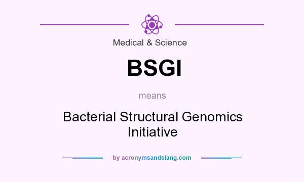What does BSGI mean? It stands for Bacterial Structural Genomics Initiative