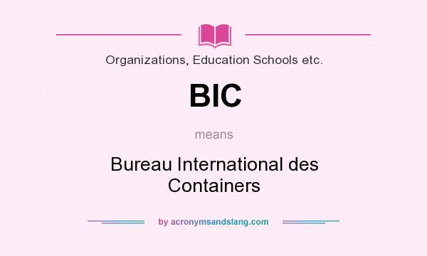 What does BIC mean? It stands for Bureau International des Containers