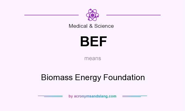 What does BEF mean? It stands for Biomass Energy Foundation