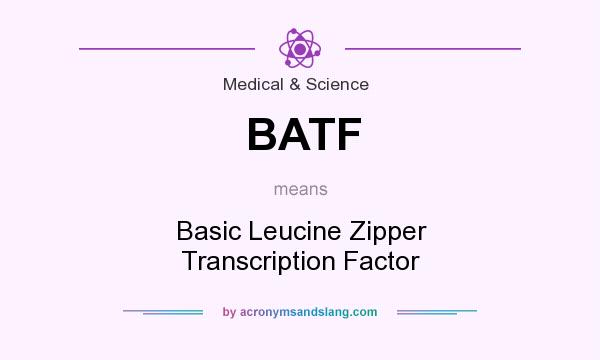 What does BATF mean? It stands for Basic Leucine Zipper Transcription Factor