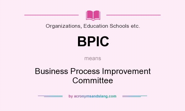 What does BPIC mean? It stands for Business Process Improvement Committee
