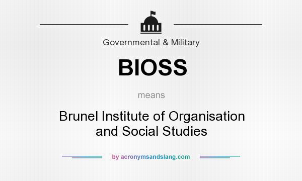 What does BIOSS mean? It stands for Brunel Institute of Organisation and Social Studies