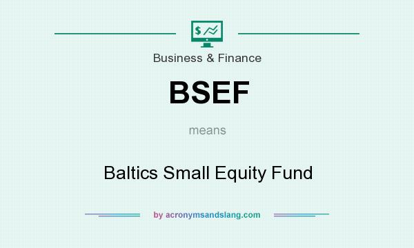 What does BSEF mean? It stands for Baltics Small Equity Fund