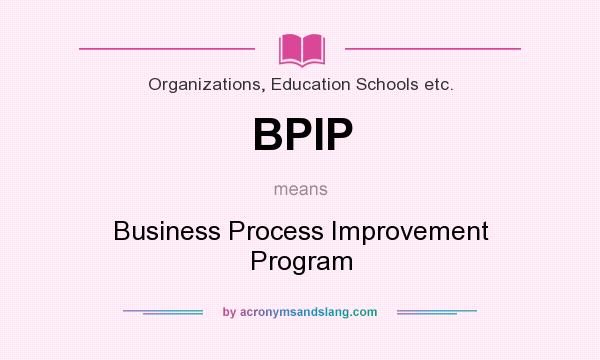 What does BPIP mean? It stands for Business Process Improvement Program