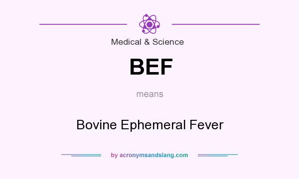What does BEF mean? It stands for Bovine Ephemeral Fever