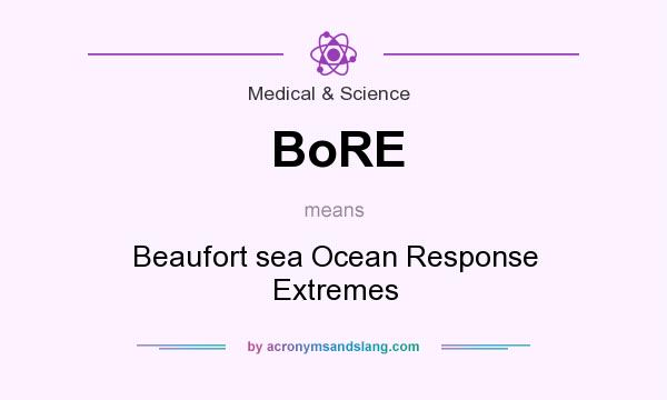 What does BoRE mean? It stands for Beaufort sea Ocean Response Extremes