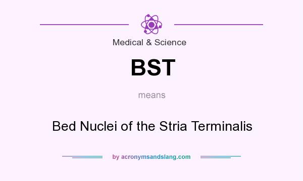 What does BST mean? It stands for Bed Nuclei of the Stria Terminalis