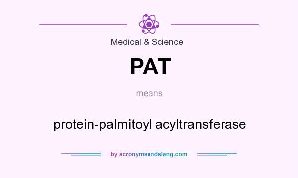 What does PAT mean? It stands for protein-palmitoyl acyltransferase