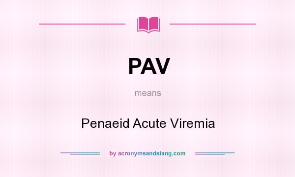 What does PAV mean? It stands for Penaeid Acute Viremia