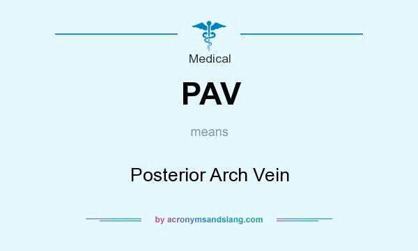 What does PAV mean? It stands for Posterior Arch Vein