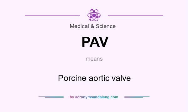 What does PAV mean? It stands for Porcine aortic valve