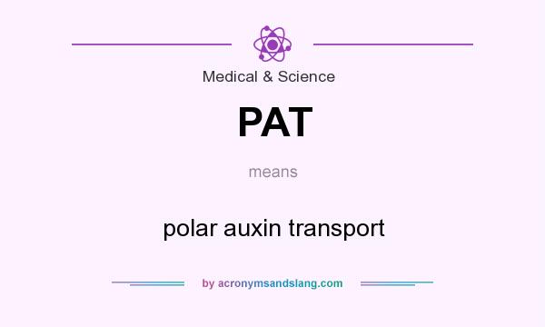 What does PAT mean? It stands for polar auxin transport