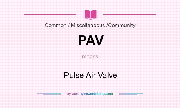 What does PAV mean? It stands for Pulse Air Valve